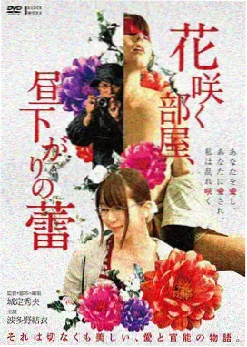 动作电影《逆风航线》4K高清在线播放海报
